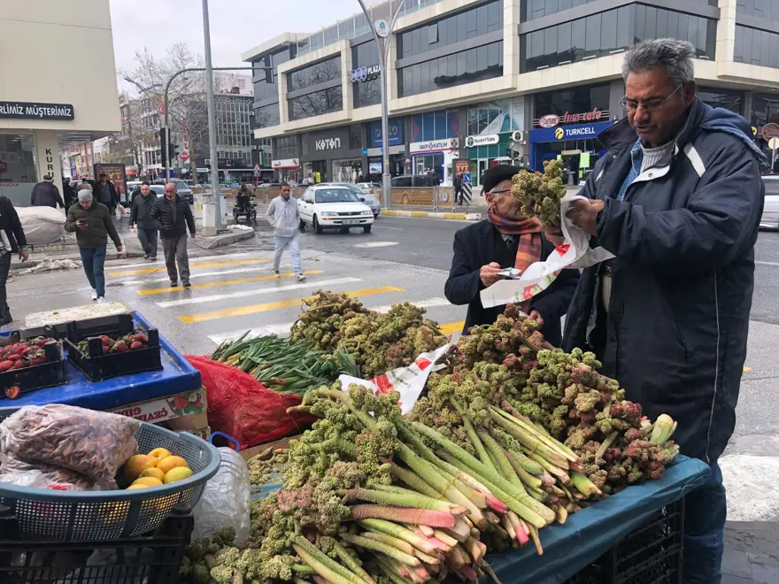 Kendiliğinden yetişen vitamin deposu tezgahta: Kanserin yeni ilacı olarak nitelendirilmiş 2