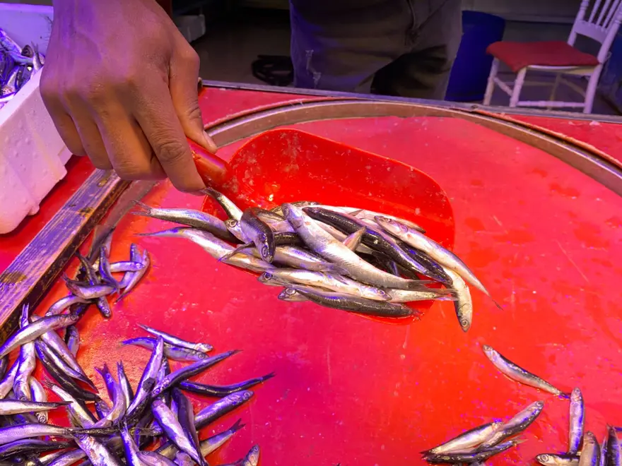 "BU SÜREÇTE BALIK FİYATLARI BİRAZ ARTACAK" 2