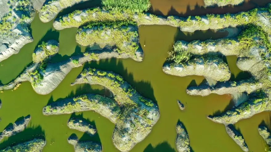 Ağrı Dağı eteklerindeki renkli sulak alanlar ilgi çekiyor 8