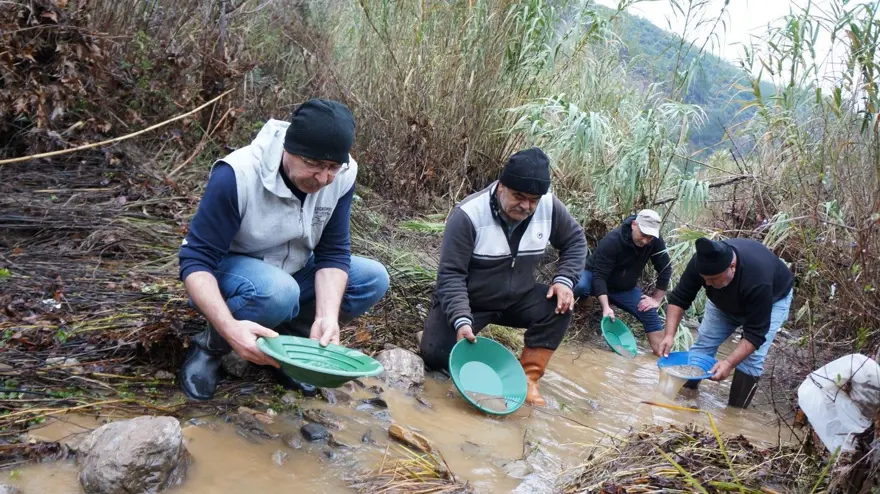Buz gibi suda altın avı: Haberi duyan koşuyor 