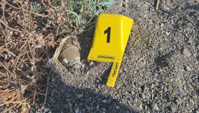 İznik Gölü kıyısında el bombası paniği