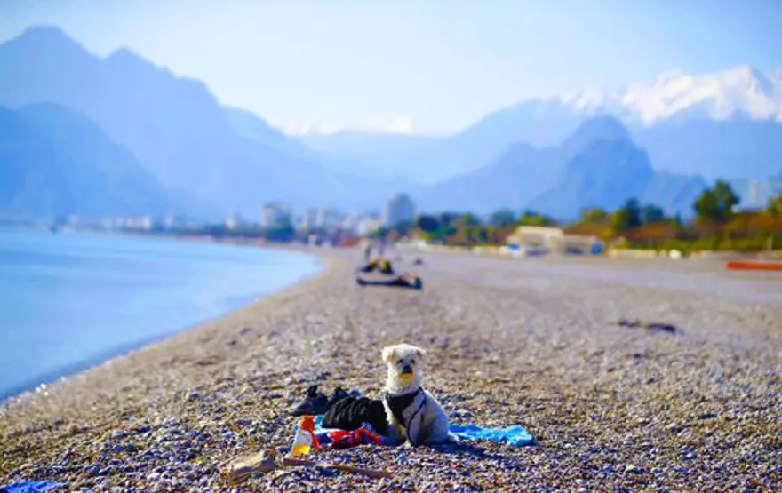 antalya saklıkent kayak merkezi, saklıkent kayak merkezine nasıl gidilir, saklıkent kayak, saklıkent skipass 3 antalya saklıkent kayak merkezi, saklıkent kayak merkezine nasıl gidilir, saklıkent kayak, saklıkent skipass 3