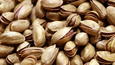 Kuraklık etkisi: Antep fıstığında rekolte yüzde 40 düşecek