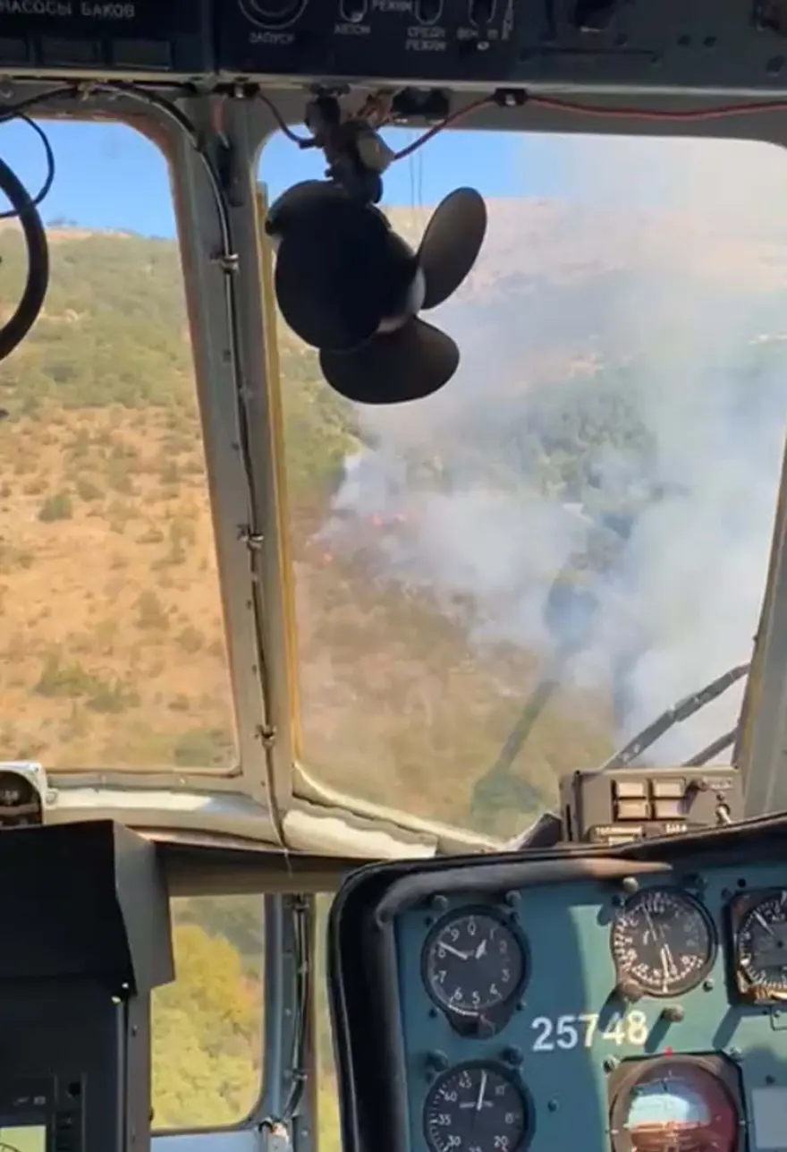 İzmir'de orman yangını: Alevler kontrol altında 1