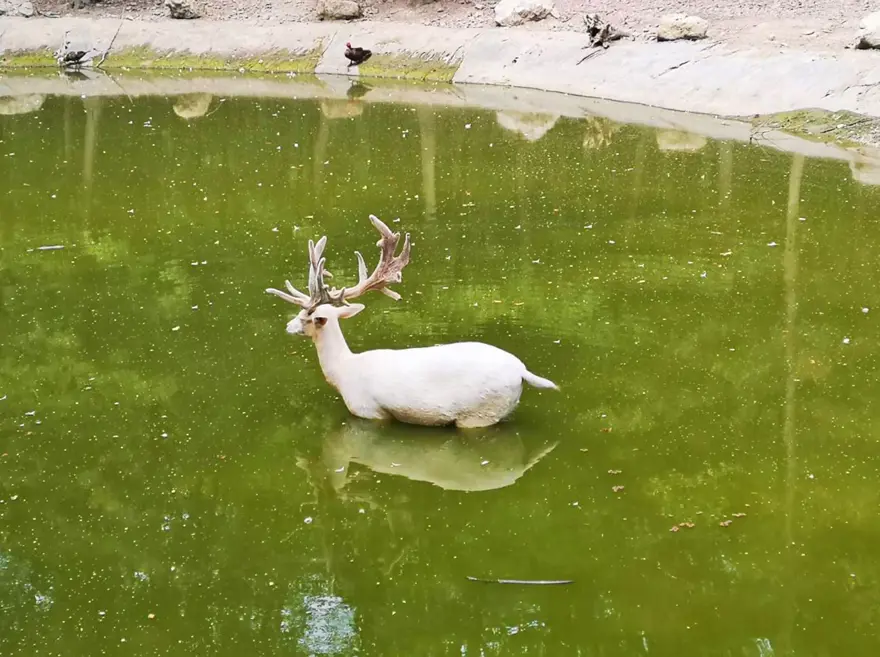 İstanbul çevresindeki en iyi kamp alanları 13 İstanbul çevresindeki en iyi kamp alanları 13
