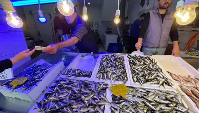 Trabzonlu balıkçıların  yüzünü istavrit güldürdü