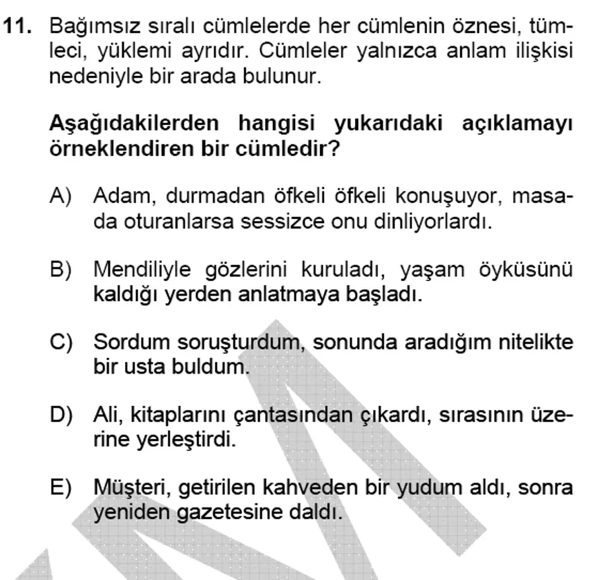 YGS Türkçe Soru ve Yanıtları 10