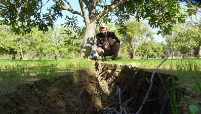 Tehlike büyüyor: Aydın Germencik'te derin çatlaklar oluştu