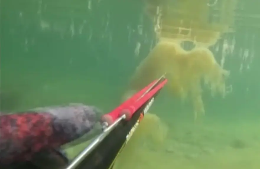 KUMBURGAZ’DA DA GÖRÜLMÜŞTÜ 3