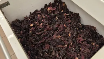 Kışın favorisi doğal ilaç: Sütle kaynatıp içince öksürüğe iyi geliyormuş