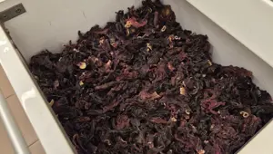 Kışın favorisi doğal ilaç: Sütle kaynatıp içince öksürüğe iyi geliyormuş