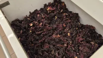 Kışın favorisi doğal ilaç: Sütle kaynatıp içince öksürüğe iyi geliyormuş