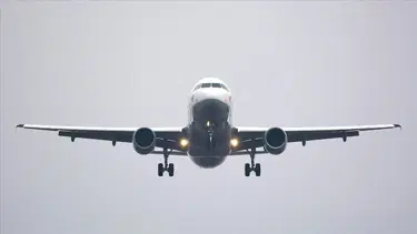 İstanbul'da leylek sürüsüne giren uçak acil iniş yaptı
