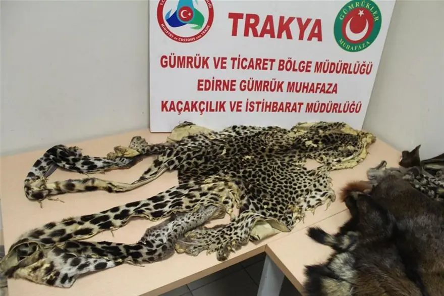 Kürkler X-Ray'e takıldı 4