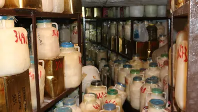 Kış için hazırlıklar başladı: Soğuk hava depolarında muhafaza ediyor