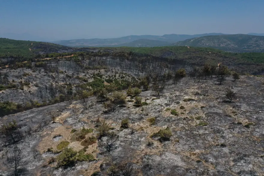 Menderes'teki orman yangınından geriye kalanlar 22