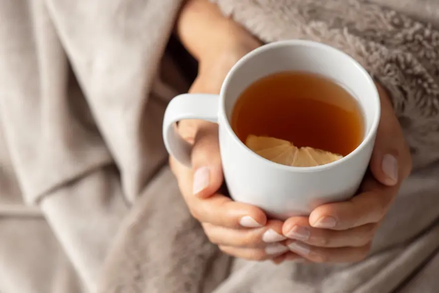 NANE, ZENCEFİL, EBEGÜMECİ 5 NANE, ZENCEFİL, EBEGÜMECİ 5