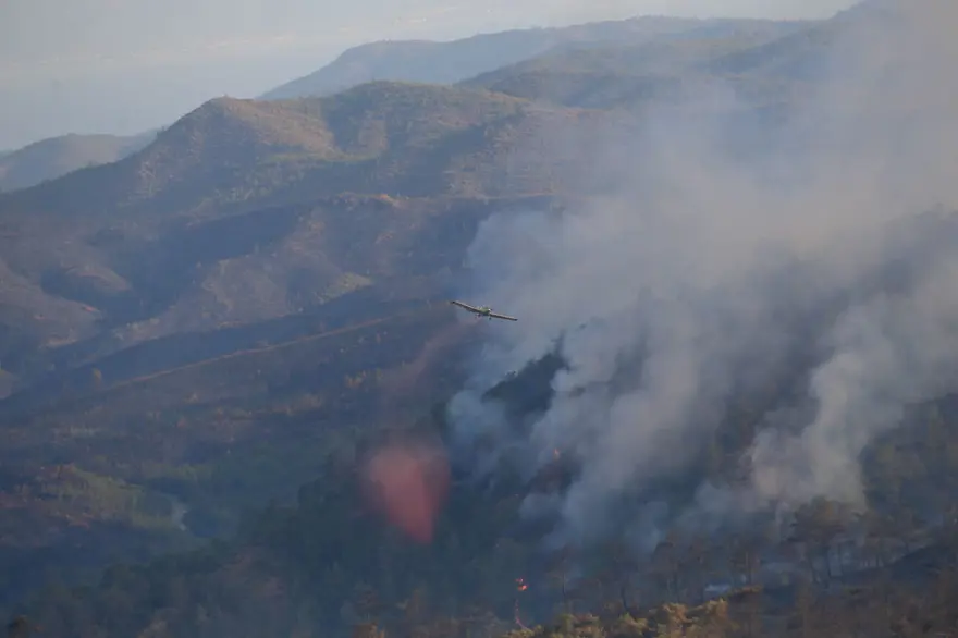 Cumhurbaşkanı Erdoğan: Marmaris'teki orman yangını büyük oranda kontrol altında 28