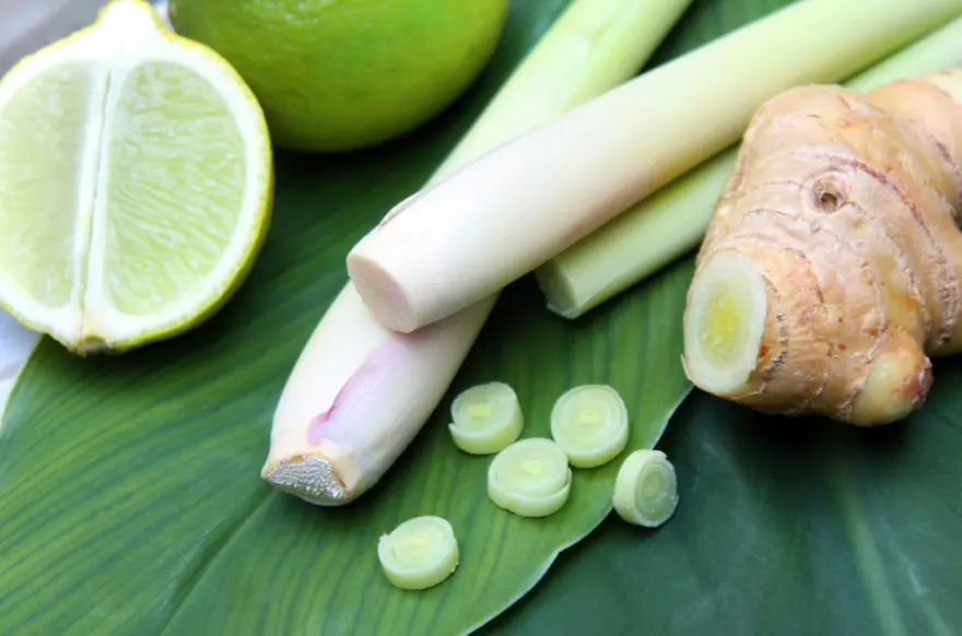 Beyin ve damarlardaki tıkanıklığı geçiriyor! Yüzyıllardır sayısız hastalığın çaresi: Türkiye'nin kıyı kesimlerinde yetişiyor 1