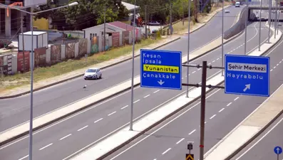 Tekirdağ'ın hafif ticari aracın çarptığı leylek öldü