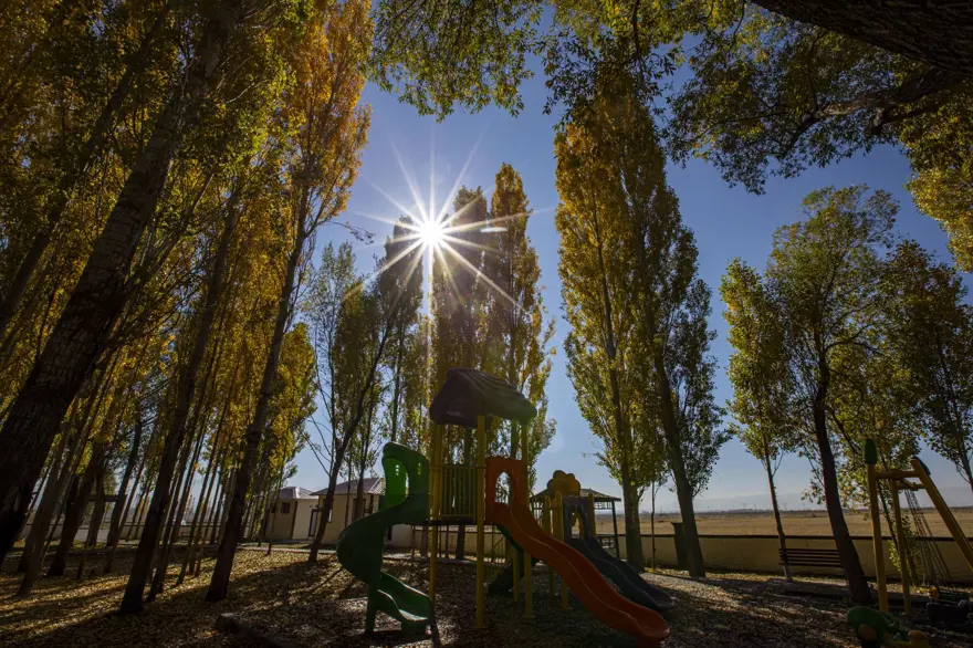 Erzurum'un kırsal mahallelerinde sonbahar renkleri hakim oldu 2