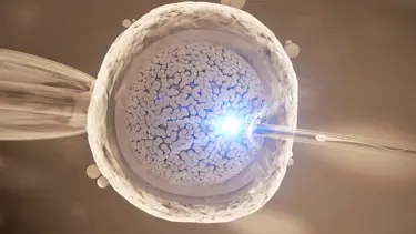 Japonya insan embriyosunda genetik değişikliğe izin verecek