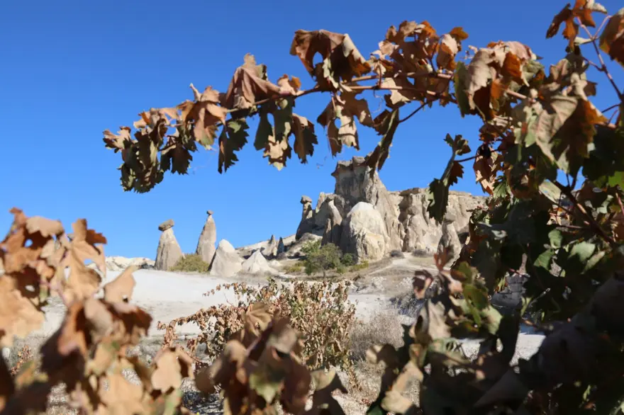 Kapadokya'da sonbahar güzelliği 