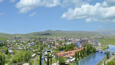 Ardahan'da ayı saldırısına uğrayan çoban yaralı kurtuldu