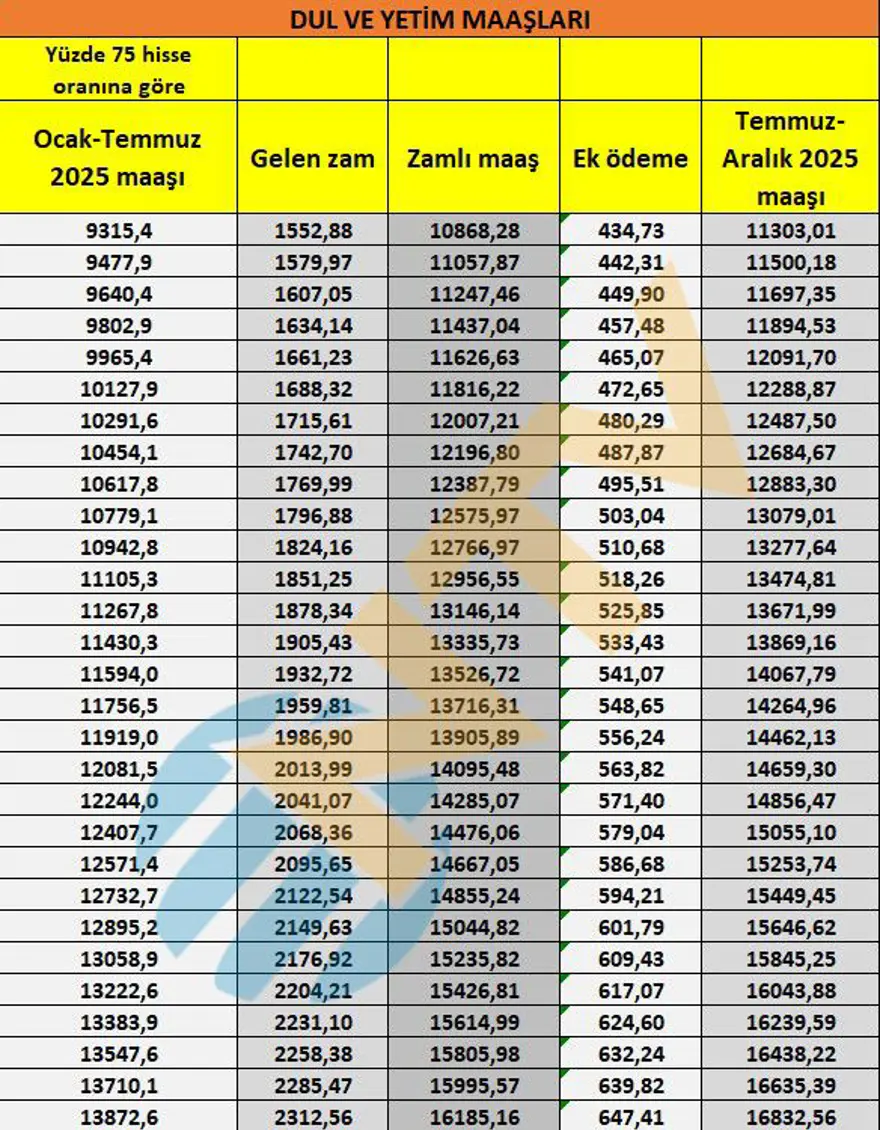 Son dakika... Dul ve yetim aylıkları belli oldu 8