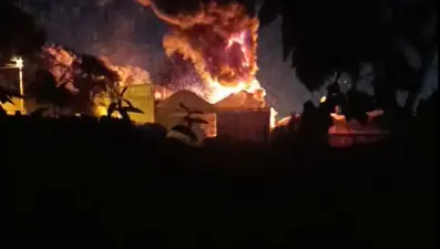 Çınarcık'ta korkutan yangın