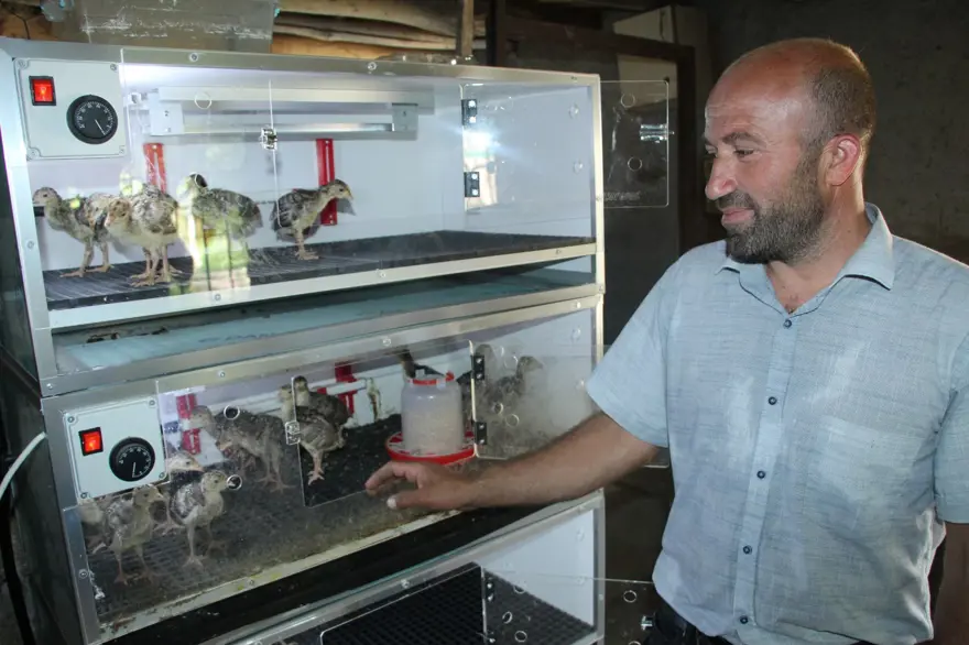 Çiftliği evine taşıdı, 8 kişilik ailesine bakıyor: Haftada 25-30 civciv üretiyor Çiftliği evine taşıdı, 8 kişilik ailesine bakıyor: Haftada 25-30 civciv üretiyor