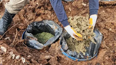 Diyarbakır'da toprağa gömülü 43 kilogram esrar ele geçirildi