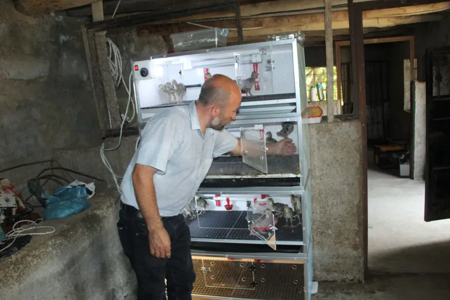 Çiftliği evine taşıdı, 8 kişilik ailesine bakıyor: Haftada 25-30 civciv üretiyor 3 Çiftliği evine taşıdı, 8 kişilik ailesine bakıyor: Haftada 25-30 civciv üretiyor 3