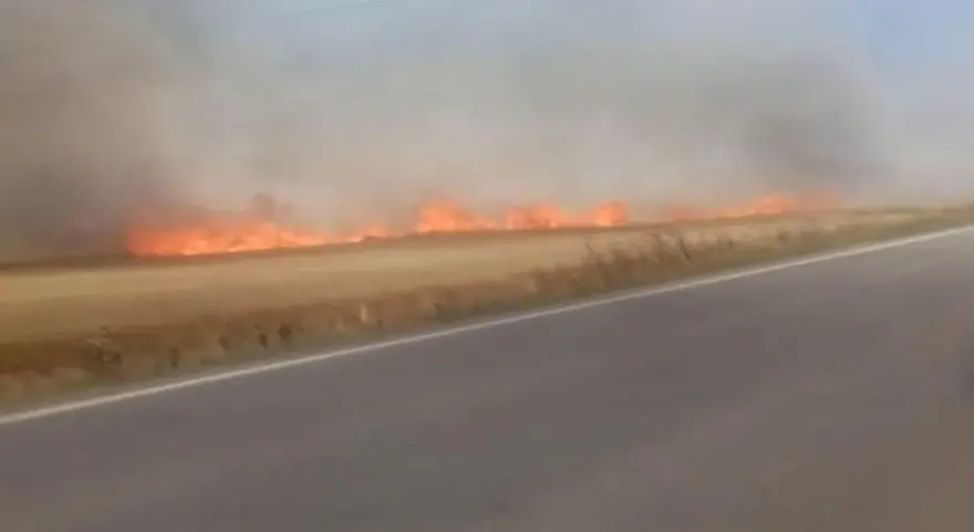 Tekirdağ’da buğday tarlasında yangın: 3 yaralı Tekirdağ’da buğday tarlasında yangın: 3 yaralı