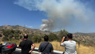 Aydın'da yangın: Alevler ormana sıçradı