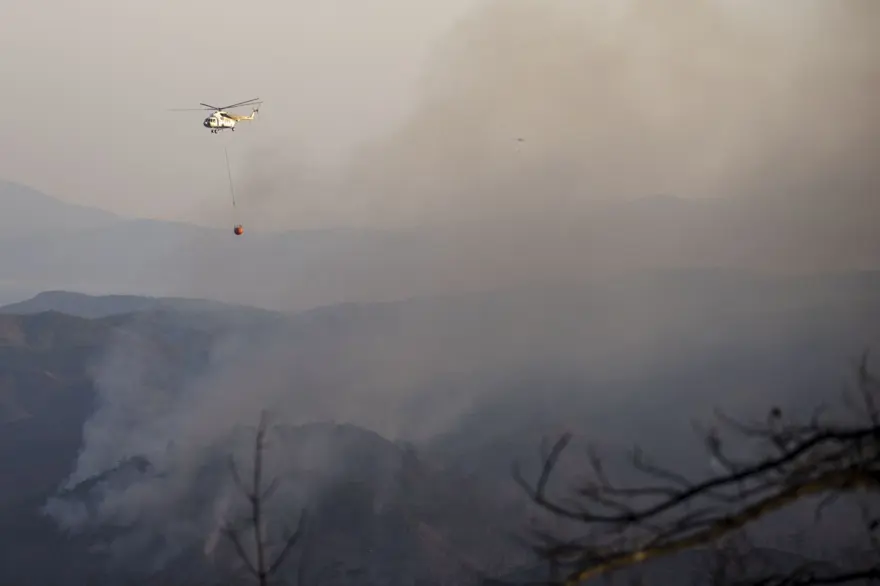 Cumhurbaşkanı Erdoğan: Marmaris'teki orman yangını büyük oranda kontrol altında 64