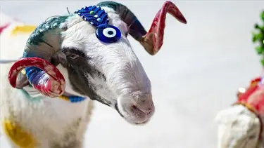 2025 Kurban Bayramı tarihi: Önümüzdeki yıl Kurban Bayramı ne zaman?