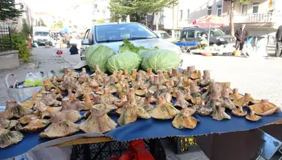Pazar tezgahlarına bereket getirdi: Kilosu 150 TL'den başlıyor