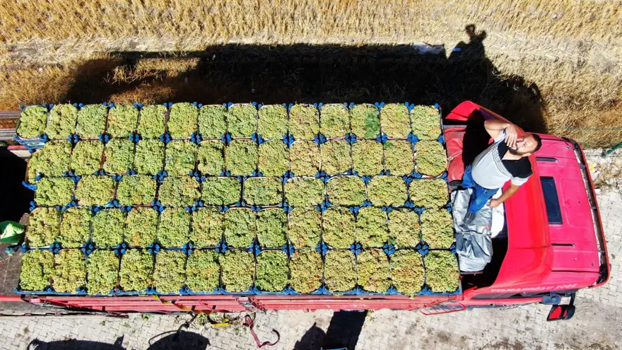 Kendi işini bırakıp baba mesleğine döndü: Şimdi 2 gün çalışarak 5 mühendis maaşı kazanıyor 5