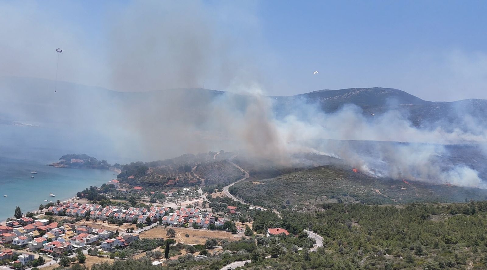 İzmir'de orman yangını: İki ev zarar gördü