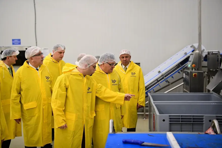 Sinop ülke liderliğini sürdürüyor: En önemli üretim merkezi 3