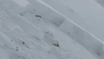 Uludere’de iş makinesinin üzerine çığ düştü