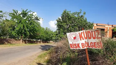 Adıyaman'da kuduz karantinası