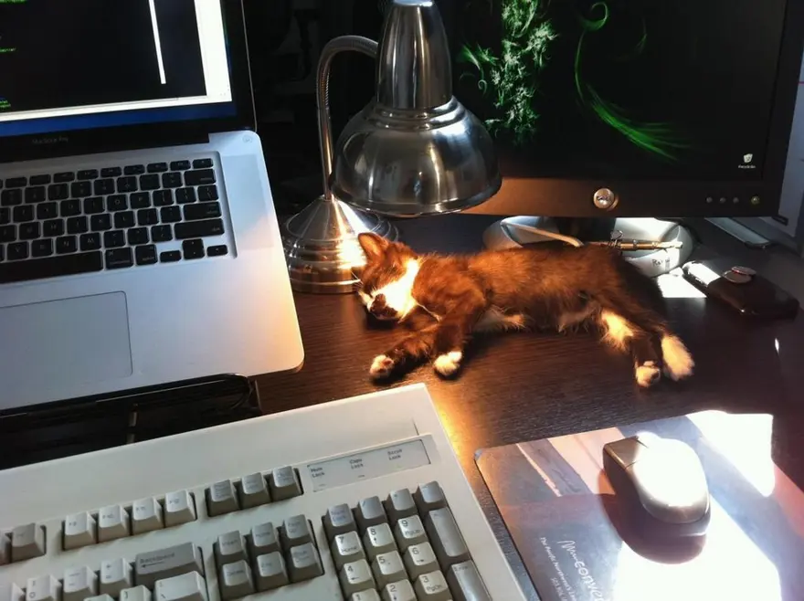 İnternetin yeni fenomenleri 19