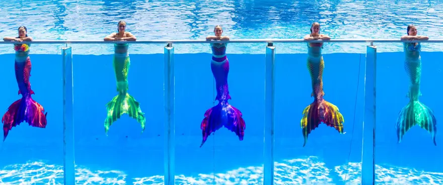 "5 YILDIR BU ORGANİZASYON İÇİN ÇALIŞIYORDUK" 4