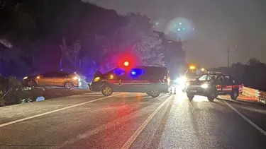 At sürüsüne çarpan otomobil zincirleme kazaya neden oldu