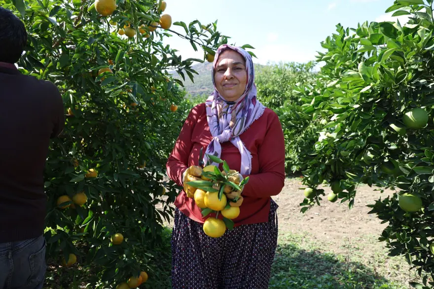 En ucuz meyve: 8 TL'ye kadar düştü 5