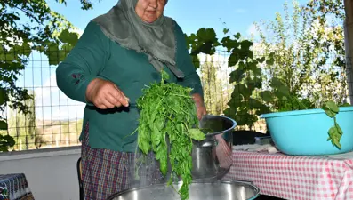 Taze naneden üretiliyor, 1 kaşığı nefes açıyor: Şişesi 200 lira