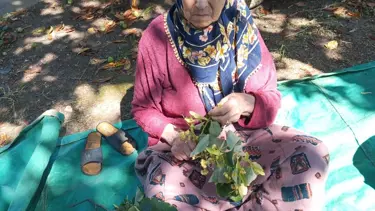 Kayıp yaşlı kadın bulundu