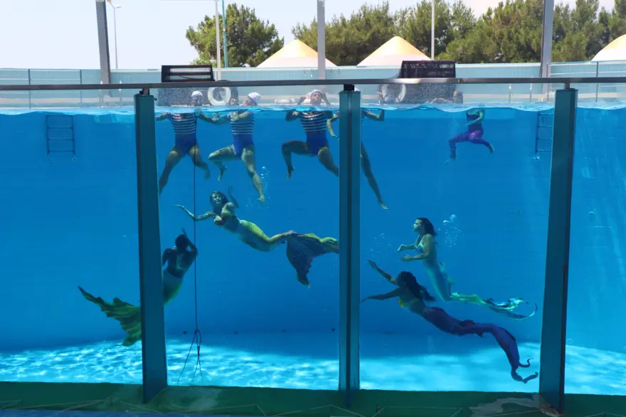 Yunus şovunun yerini deniz kızları aldı 1